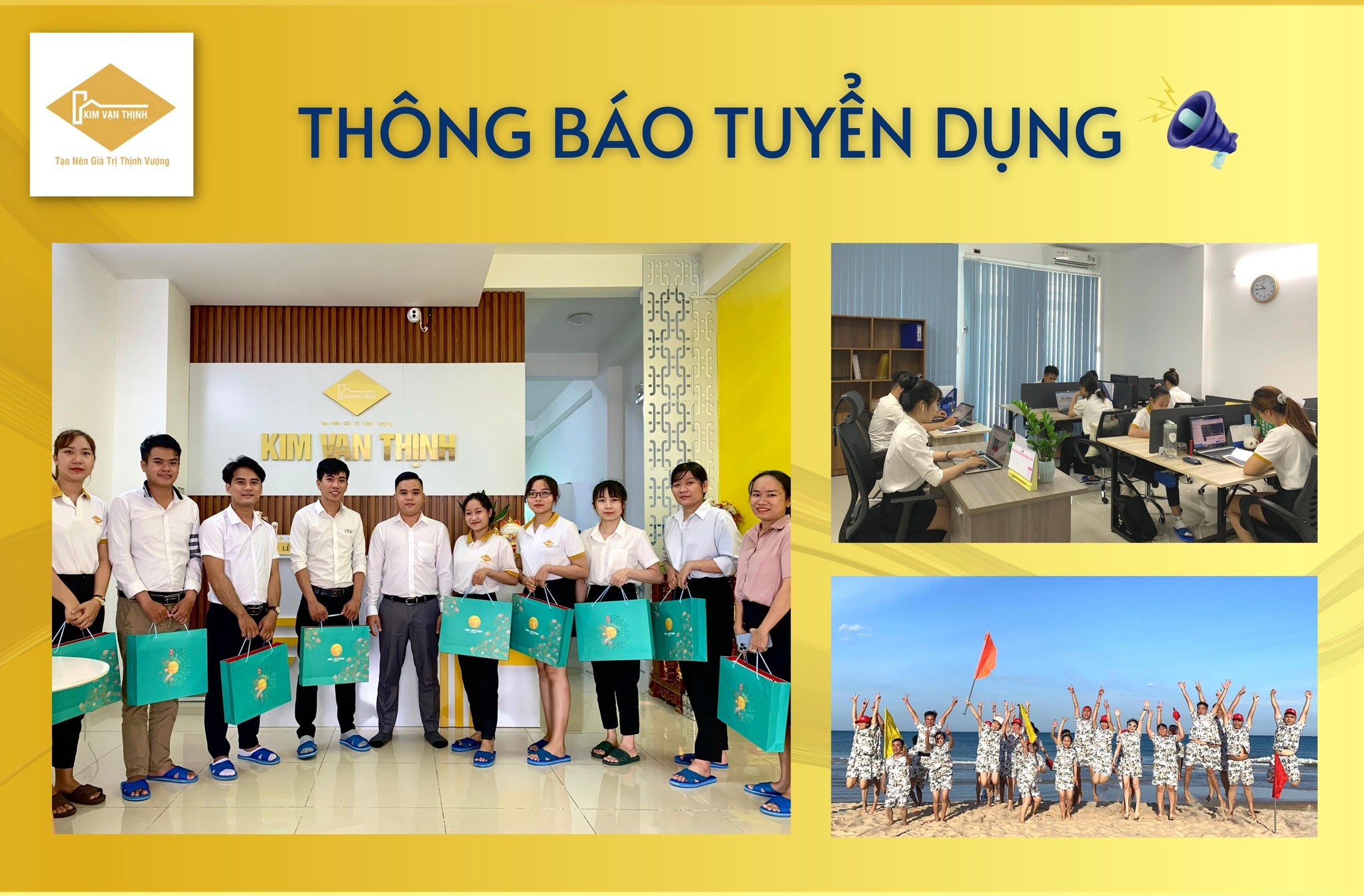 lĩnh vực hoạt động